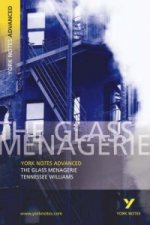 Glass Menagerie: York Notes Advanced