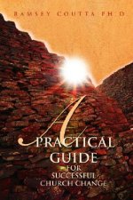 Practical Guide for Successful Church Change