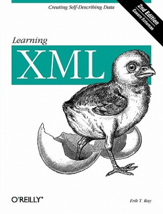 Learning XML 2e