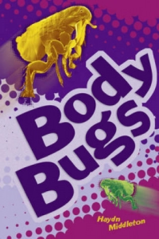 POCKET FACTS YEAR 3 BODY BUGS