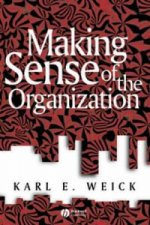 Making Sense of the Organization