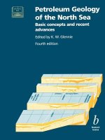 Petroleum Geology of the North Sea 4e