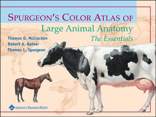 Spurgeon's Color Atlas of Large Animal Anatomy: The Essentials (Gregory Brooks)(Miękka)
