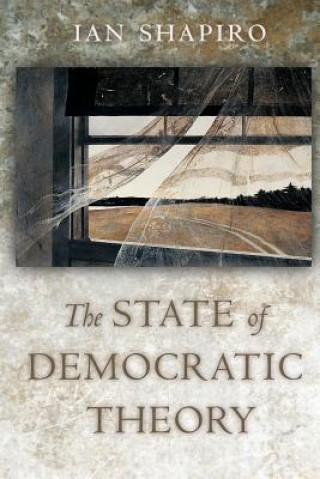 State of Democratic Theory