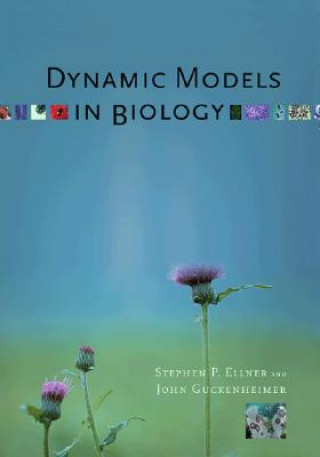 Dynamic Models in Biology