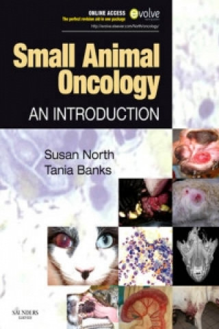 Small Animal Oncology