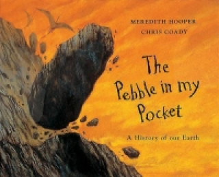 Pebble in my Pocket