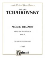 Piano Concerto No. 3, Op. 75, (1st Movement Only) (Allegro B