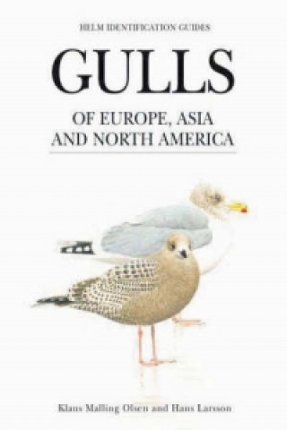 Gulls of Europe, Asia and North America