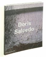 Doris Salcedo