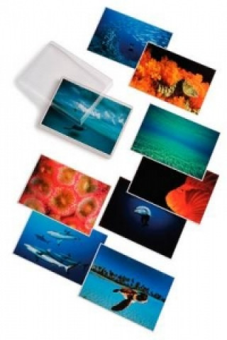 David Doubilet; Water Light Time Postcards
