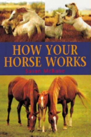 How Your Horse Works