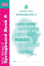 Springboard Book 6