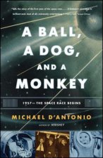 Ball, a Dog, and a Monkey