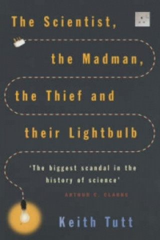 Scientist, The Madman, The Thief And Their Lightbulb