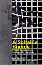 Suitable Enemy