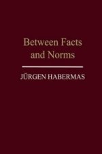 Between Facts and Norms