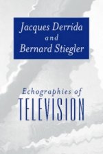 Echographies of Television - Filmed Interviews