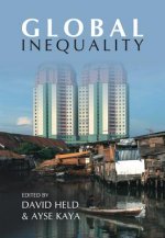 Global Inequality - Patterns and Explanations