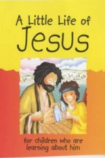 Little Life of Jesus