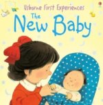 Usborne First Experiences The New Baby