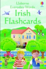 Everyday Words in Irish Flashcards