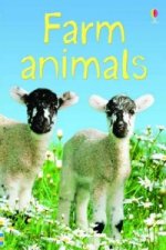 Farm Animals