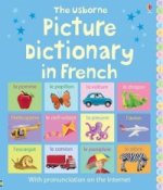 Picture Dictionary in French