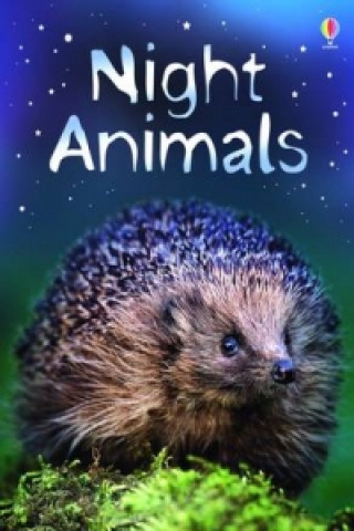 Night Animals