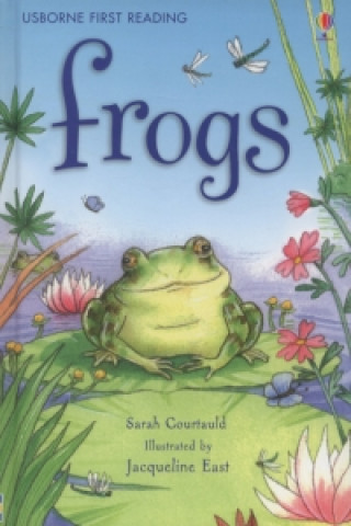 Frogs