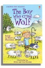 Boy who cried Wolf