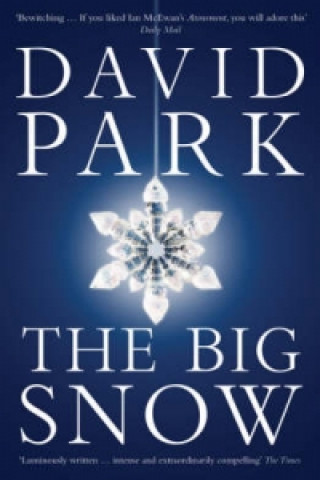 Big Snow