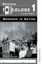 Encore Tricolore Nouvelle 1 Grammar in Action Pack (x8)