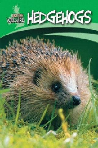 British Wildlife: Hedgehogs