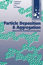 Particle Deposition and Aggregation