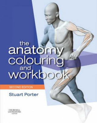 Anatomy Colouring and Workbook