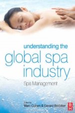 Understanding the Global Spa Industry