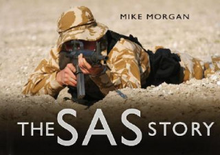 SAS Story