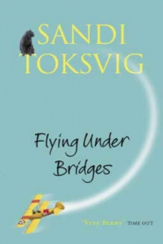 Flying Under Bridges