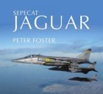 Sepecat Jaguar: Endangered Species