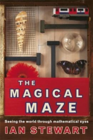 Science Masters: The Magical Maze