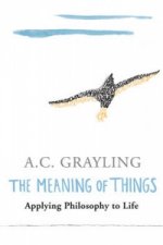Meaning of Things