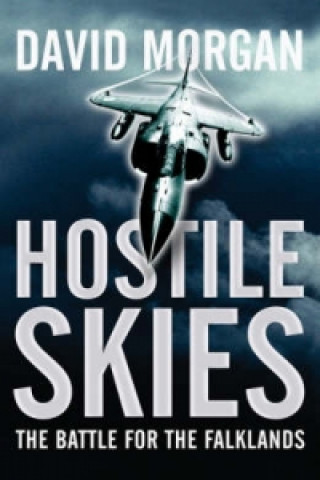 Hostile Skies