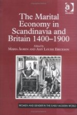 Marital Economy in Scandinavia and Britain 1400-1900