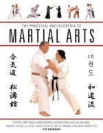 Practical Encyclopedia of Martial Arts