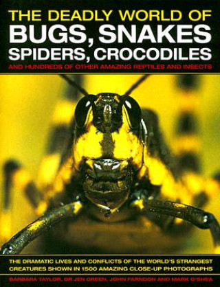 Deadly World of Bugs, Snakes, Spiders, Crocodiles and Hundreds of Other Amazing Reptiles and Insects