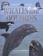 Whales and Dolphins