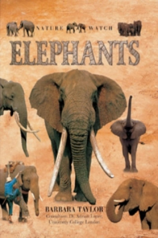 Elephants