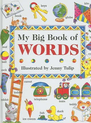 My Big Book of Words