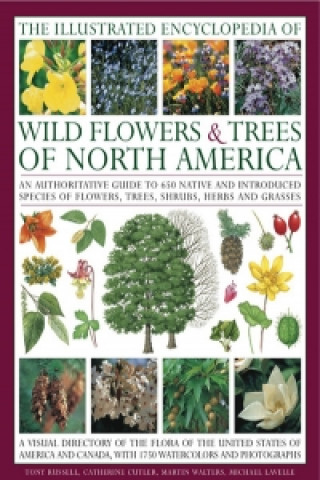 Illustrated Encyclopedia of Wild Flowers & Trees of North Am
